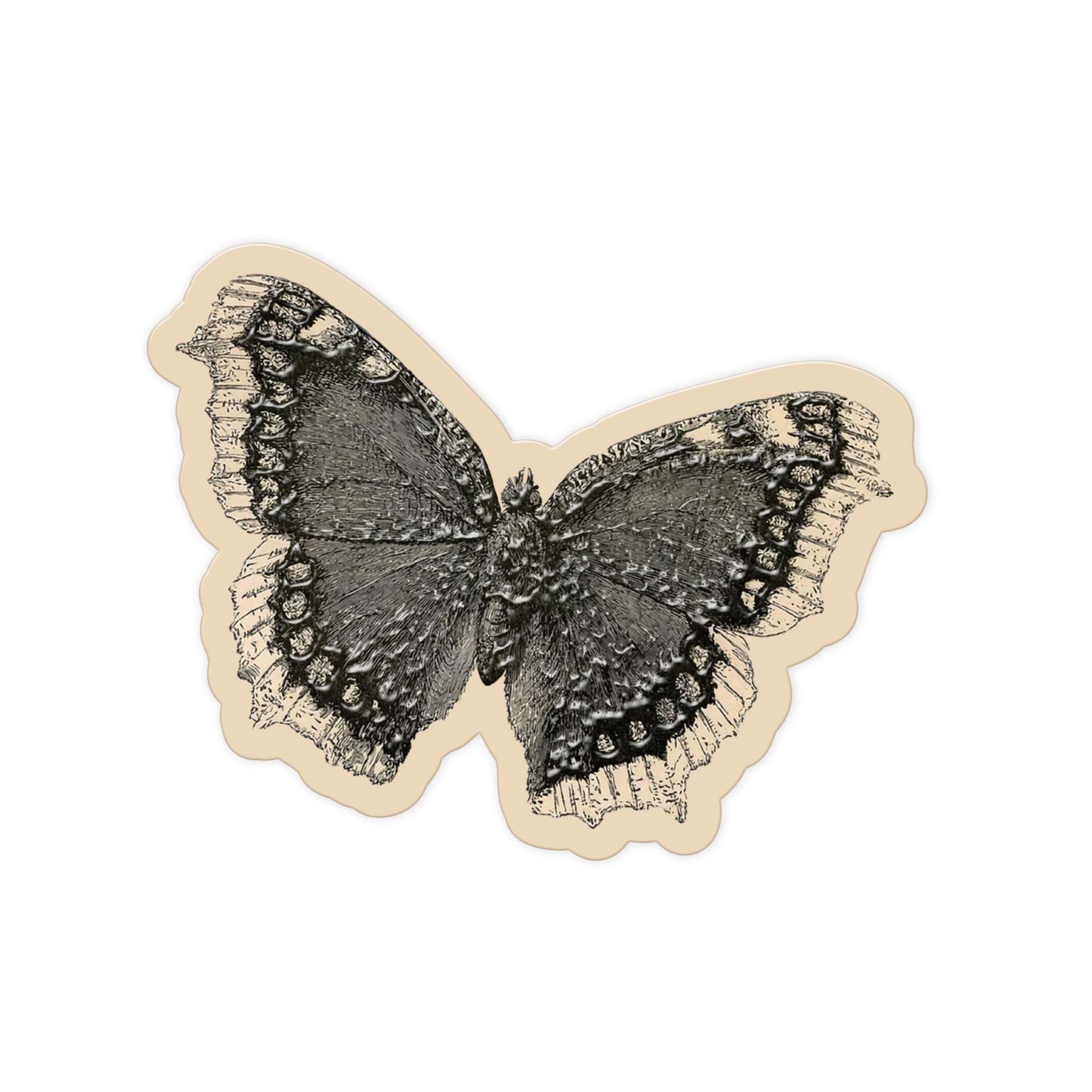 Night Moth