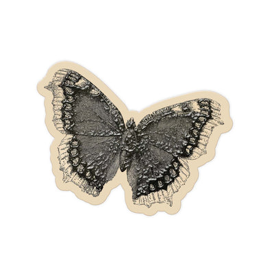 Night Moth
