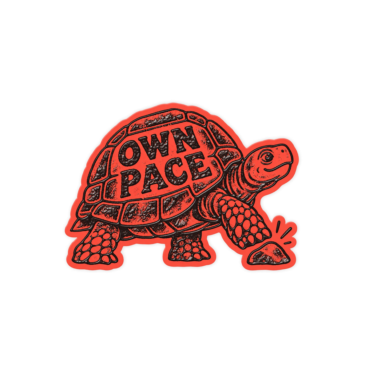 Own Pace