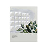 P-Charred White