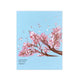 P-Peaceful Blue