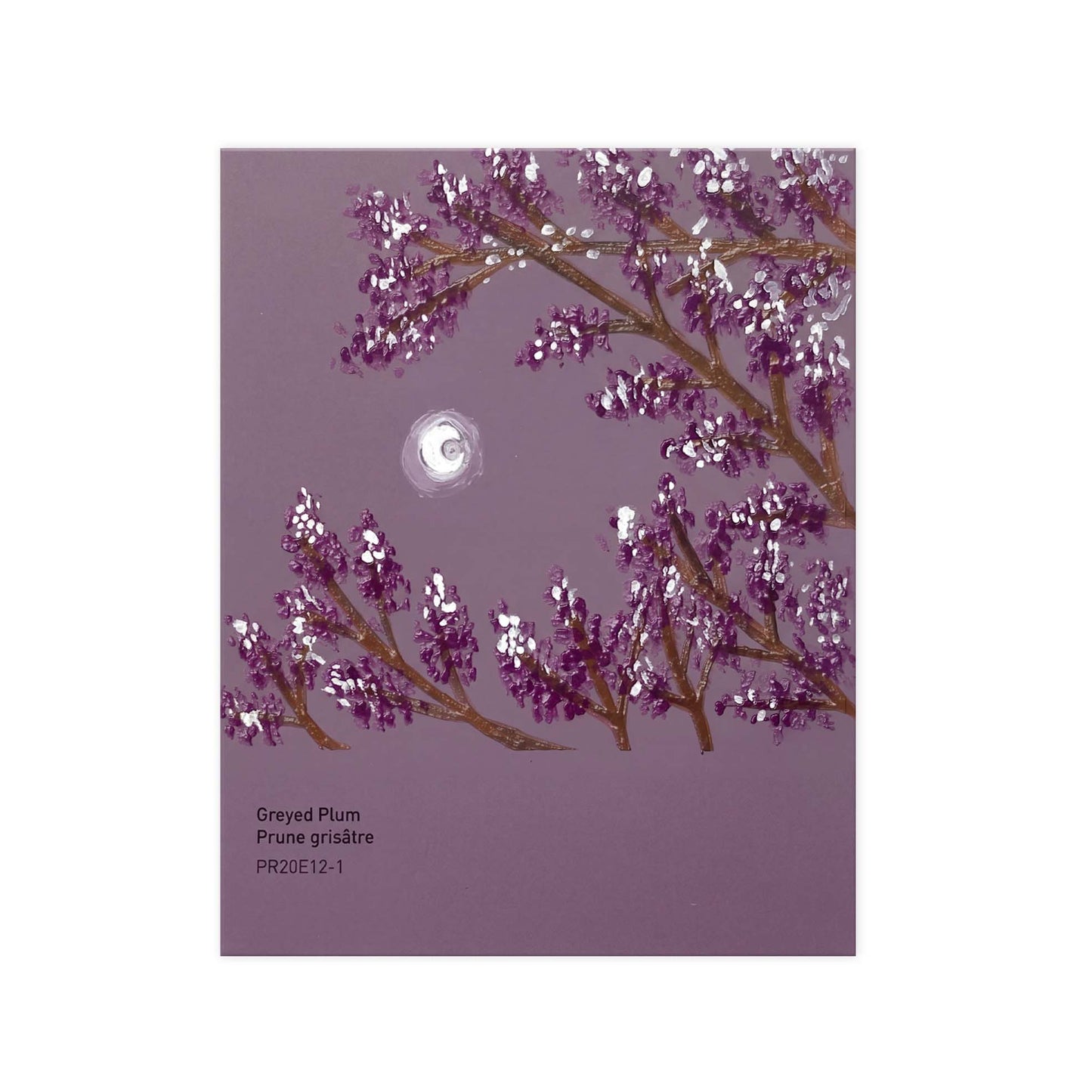 P-Greyed Plum