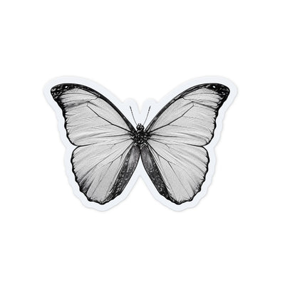 Pale Butterfly