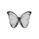 Pale Butterfly