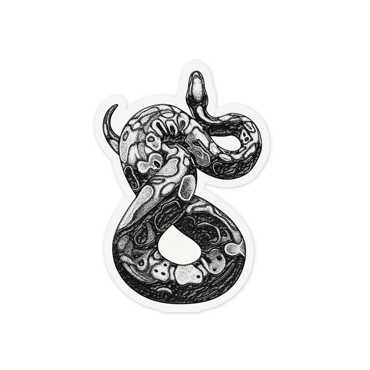 Patterned Python