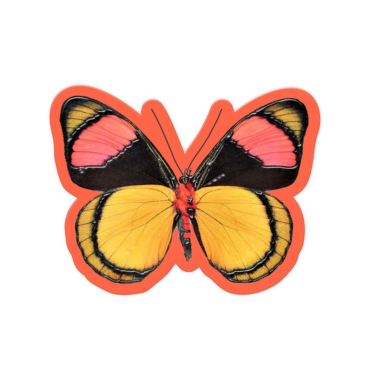 Peach Wing