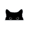 Peeking Black Cat