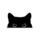 Peeking Black Cat
