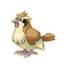 Pidgey