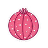 Pink Cactus