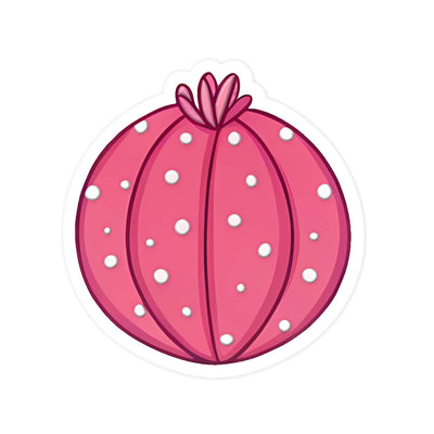 Pink Cactus