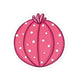 Pink Cactus