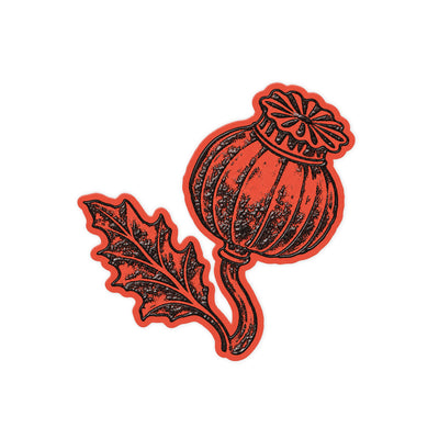Poppy Seedpod
