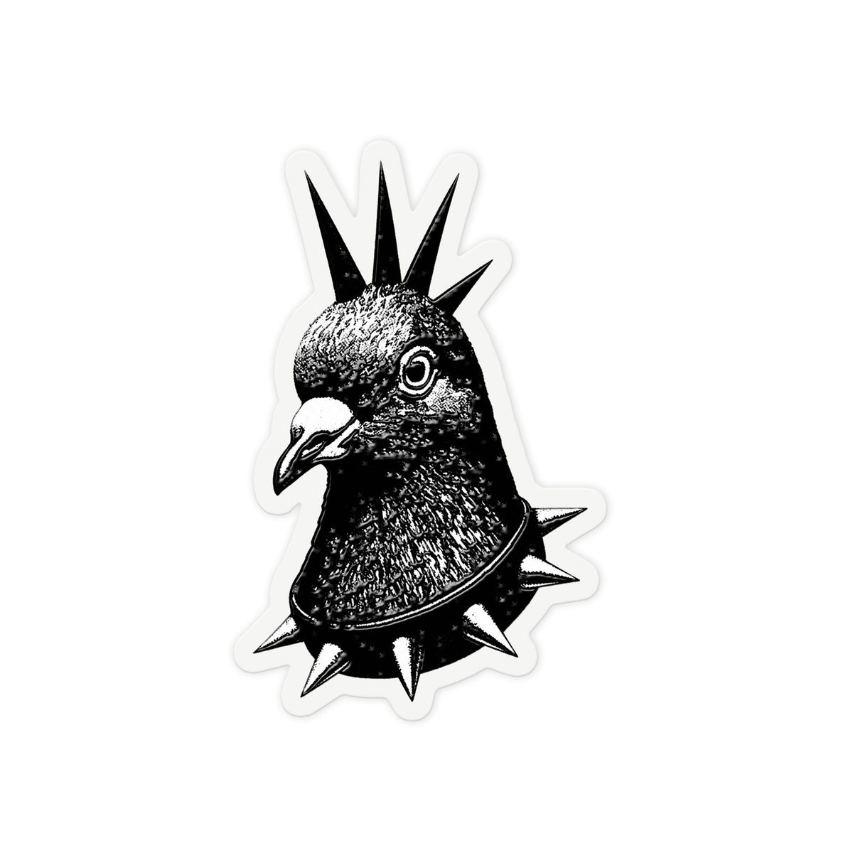Punk Pigeon