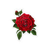 Red Rose Leaves