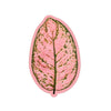 Rose Green