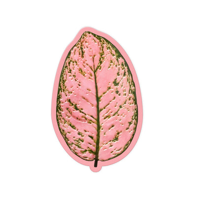 Rose Green