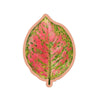Rust Leaf