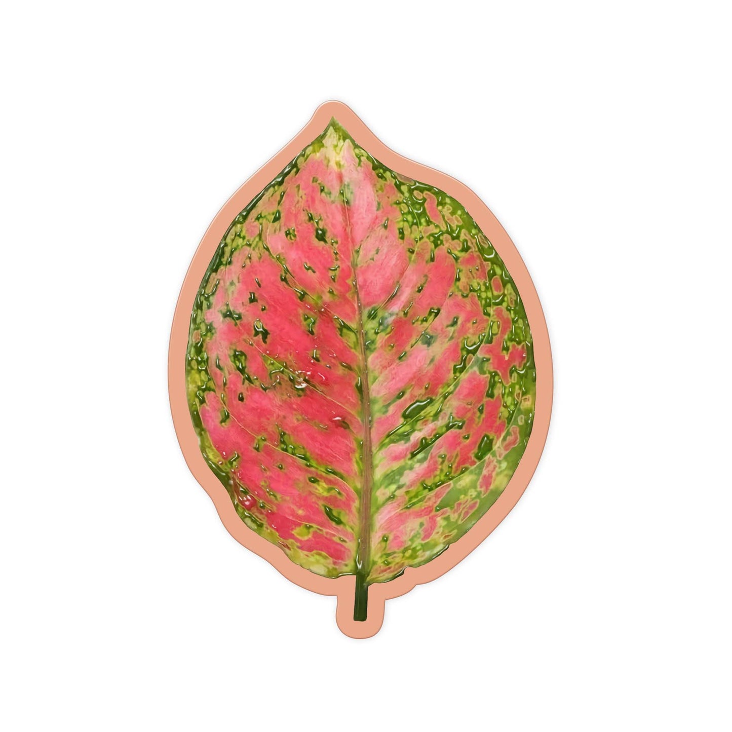 Rust Leaf