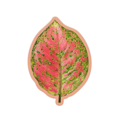 Rust Leaf