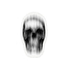 Scanline Skull