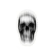 Scanline Skull