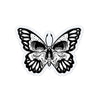 Skull Wing Butterfly