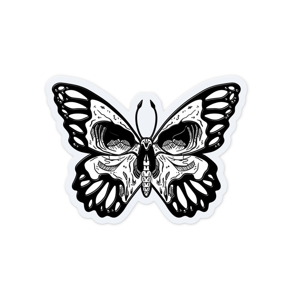 Skull Wing Butterfly