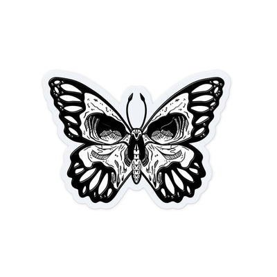 Skull Wing Butterfly