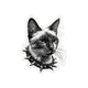 Spiked Siamese