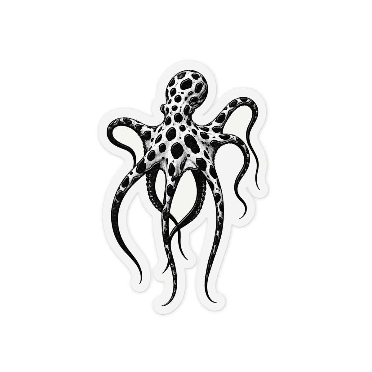 Spotted Octopus