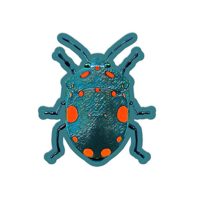 Spotted Shield Bug