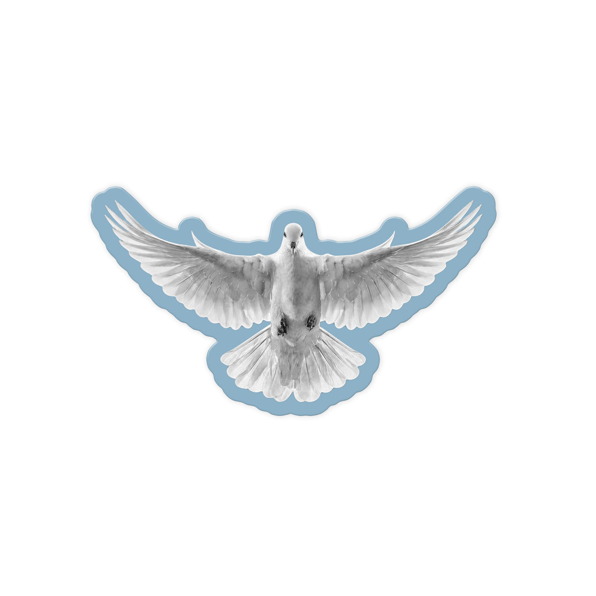 Spread Wing Dove