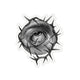 Thorned Eye