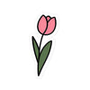Tulip Bud II