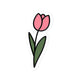 Tulip Bud II