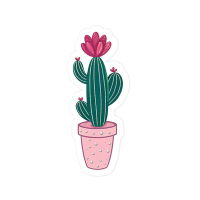 Twin Cactus
