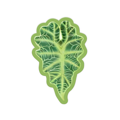 Vein Spine