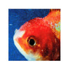 Vince Staples - Big Fish Theory