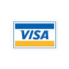 Visa Logo 1990s