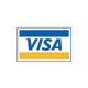 Visa Logo 1990s