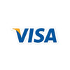 Visa Logo 2000s