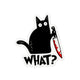 What Knife Cat