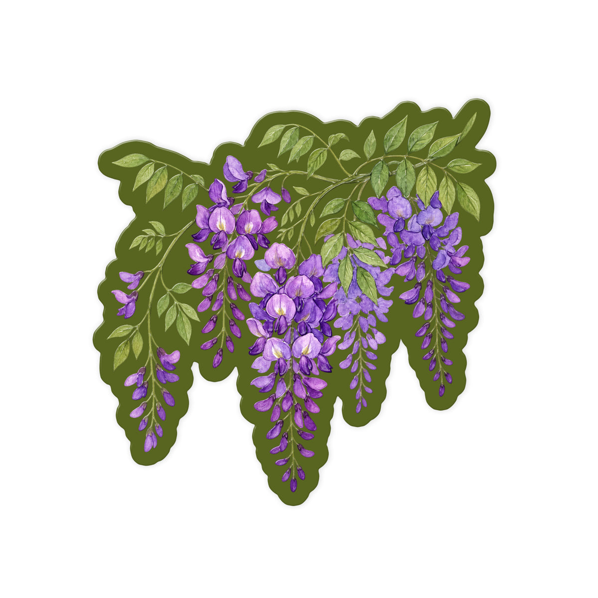 Wisteria Branch