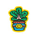 Zen Plant