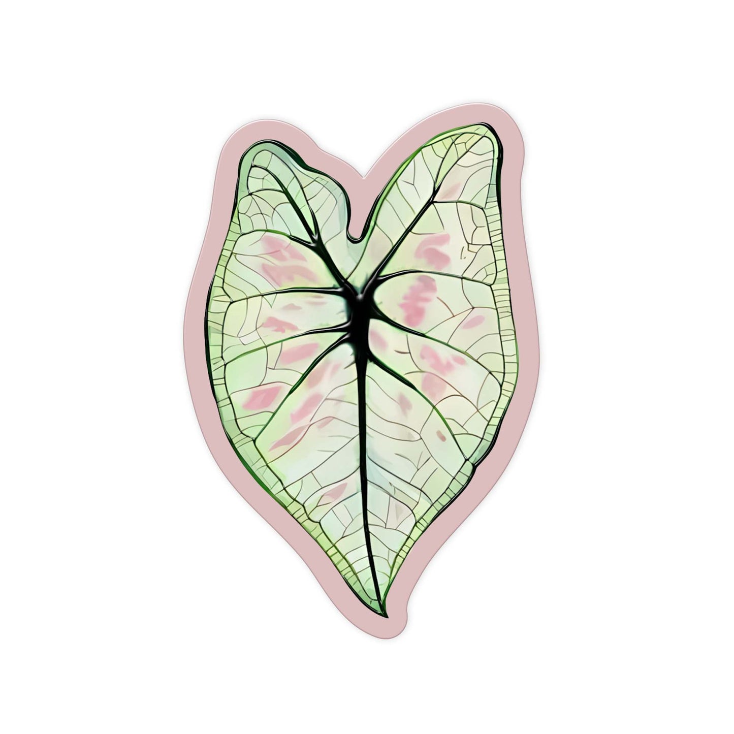 Pink Veins