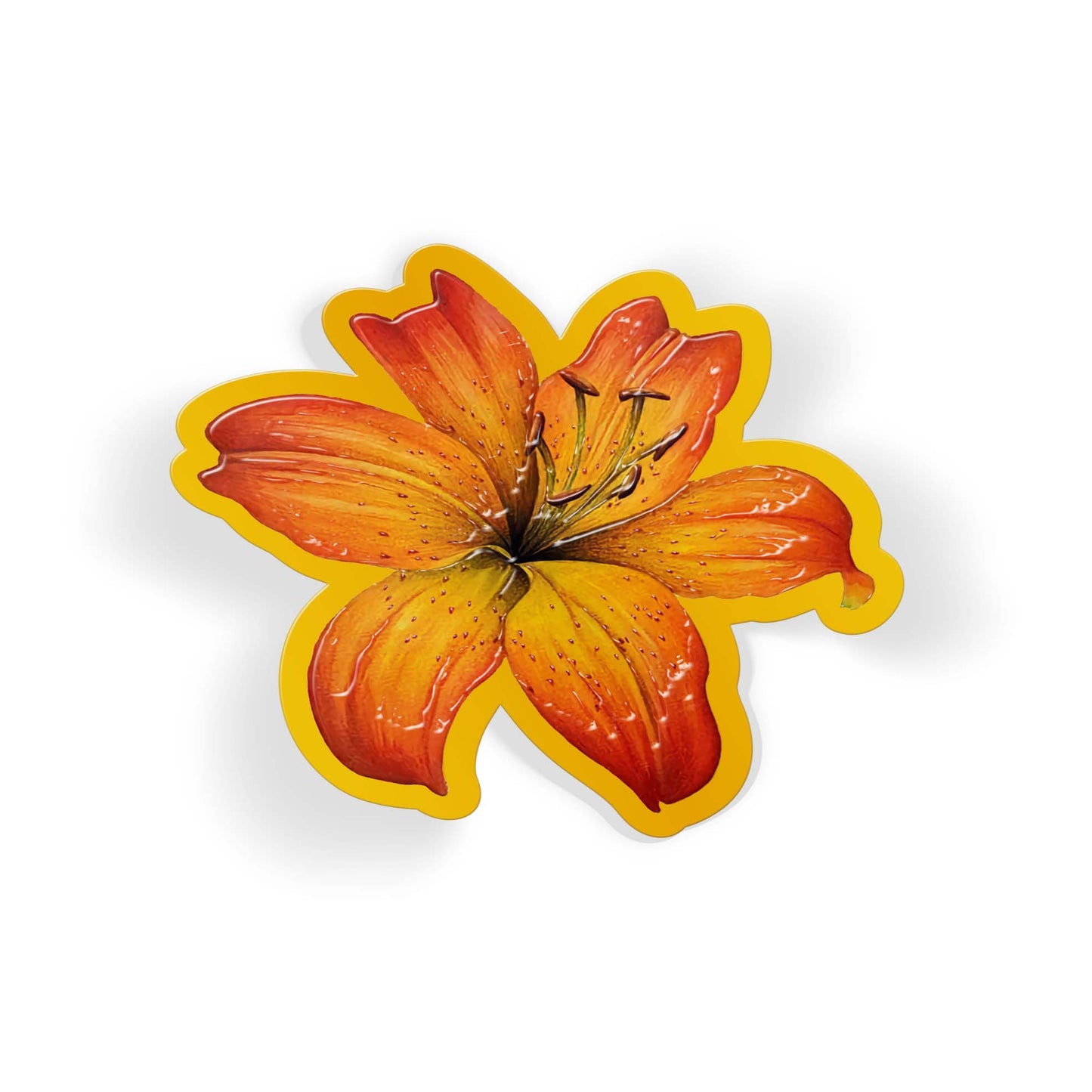 Amber Lily