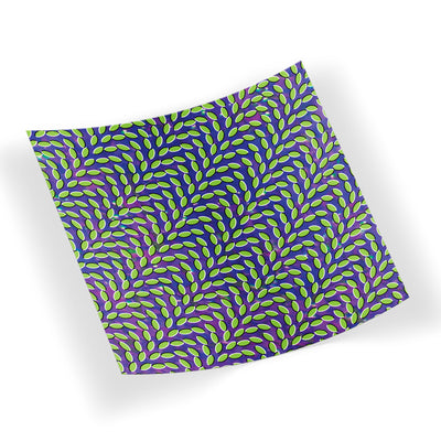 Animal Collective - Merriweather Post Pavilion