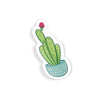 Baby Cactus