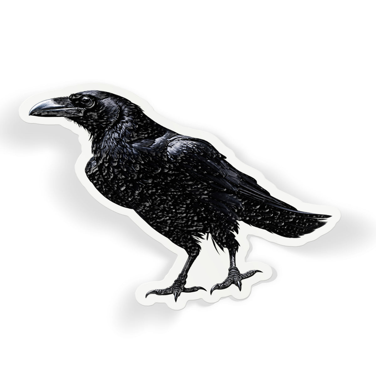 Black Raven